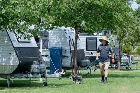 Berri Riverside Holiday Park - Perisher Accommodation 6