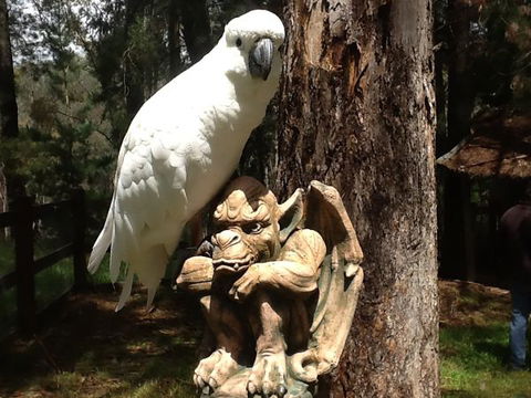 Beechworth Wildlife Stays - Perisher Accommodation 9