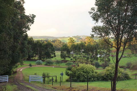 Blue House Bed And Breakfast - Perisher Accommodation 1