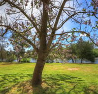 Breakaway Twin Rivers Caravan Park - Perisher Accommodation
