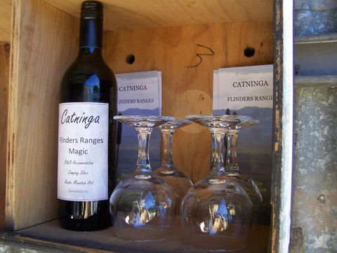 Catninga Mountain Camp Hut - Perisher Accommodation 3