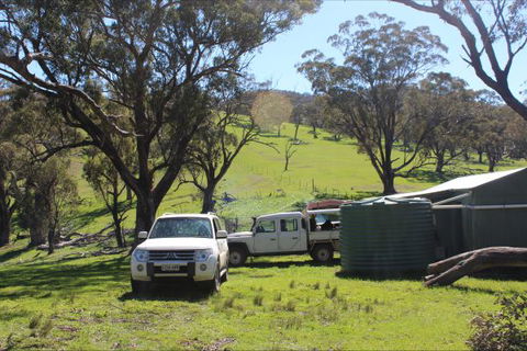 Catninga Mountain Camp Hut - Perisher Accommodation 8