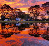 Coonawarra Bush Holiday Park - Perisher Accommodation