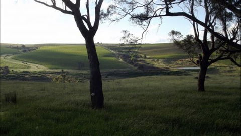 Dragonfly Cottages - Perisher Accommodation 2