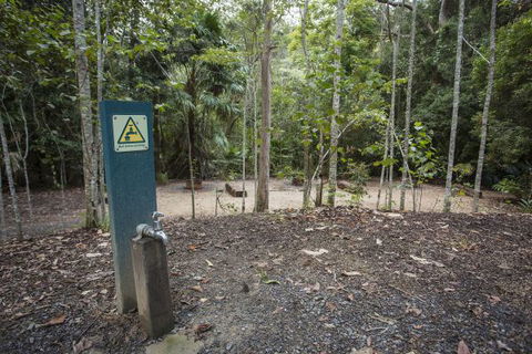 Eungella National Park Camping Ground - Perisher Accommodation 2