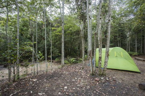 Eungella National Park Camping Ground - Perisher Accommodation 3