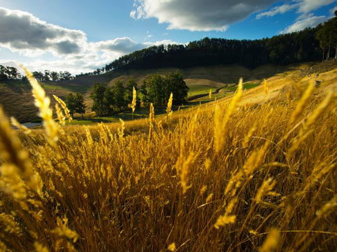 Frenchman's River - The Writer's House - Perisher Accommodation 9