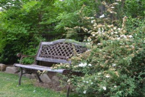 Garden Cottage B And B - Perisher Accommodation 4