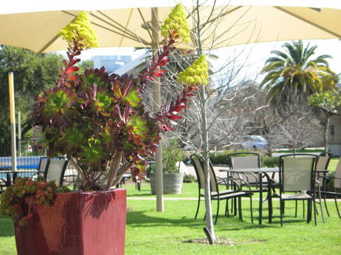 Golden Chain Wine Village Motor Inn - Perisher Accommodation 3