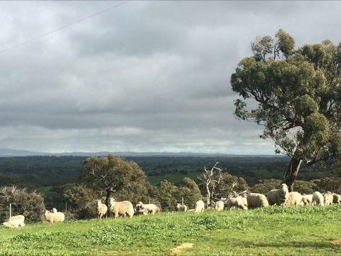 Heathcote Views Bed & Breakfast - Perisher Accommodation 5