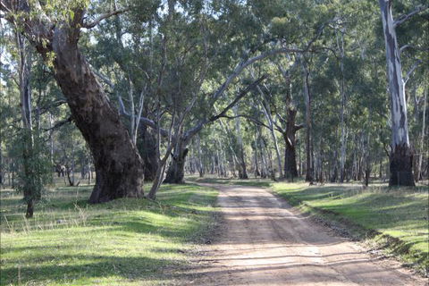 Hughes Park Cottage & Weddings - Perisher Accommodation 2