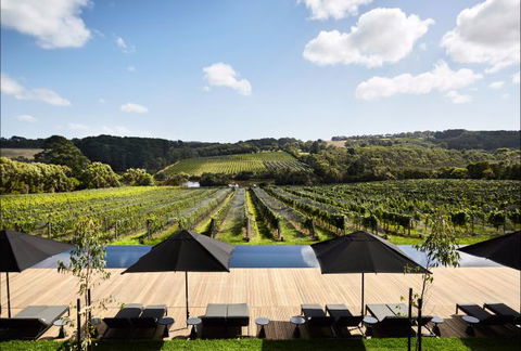 Jackalope Mornington Peninsula - Perisher Accommodation 4