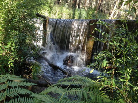Kinglake Forest Adventures Camp - Perisher Accommodation 1