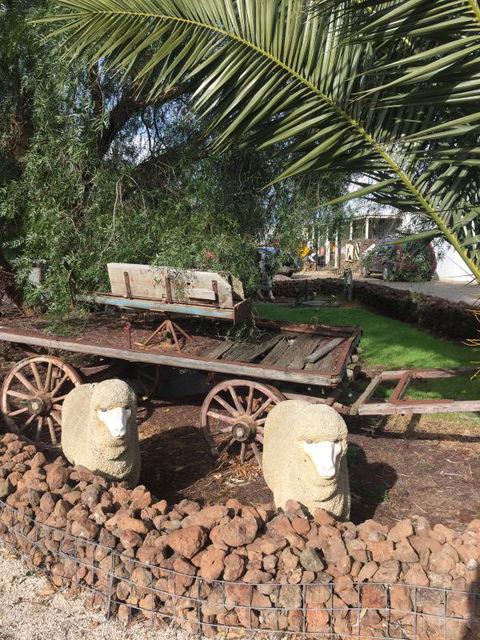 Little River Bed And Breakfast - Perisher Accommodation 5