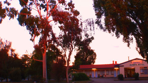 Murray Bridge Central Olympic Motel And Cottages - Perisher Accommodation 0