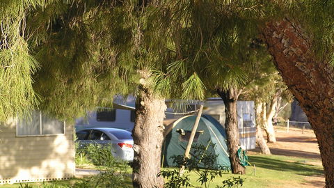Barmera North Lake Caravan Park - Perisher Accommodation 4