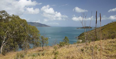 Molle Island National Park (Whitsundays National Park) Camping Ground - Perisher Accommodation 1