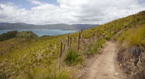 Molle Island National Park (Whitsundays National Park) Camping Ground - Perisher Accommodation 2