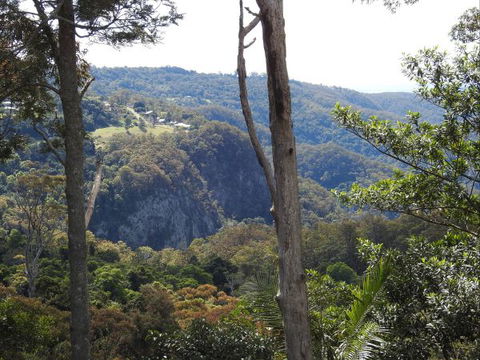 Mt Tamborine Motel - Perisher Accommodation 0