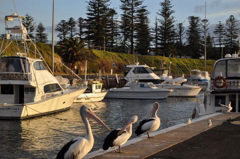 Nautica Accommodation Gerringong - Perisher Accommodation 2