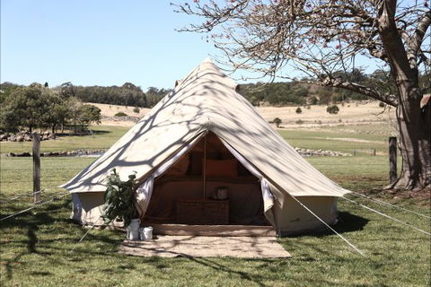 Pitch South Coast - Perisher Accommodation 2