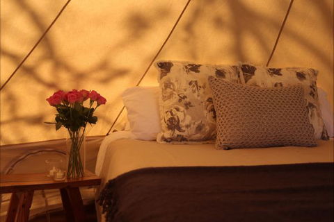 Pitch South Coast - Perisher Accommodation 4