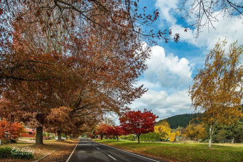 Porepunkah Bridge Holiday Park - Perisher Accommodation 6