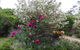 Quartz Cottage - thumb 8