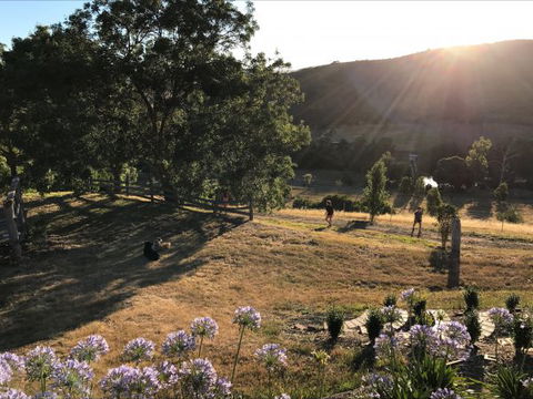 Shearer's Hill - Luxury Farm Stay - Perisher Accommodation 9
