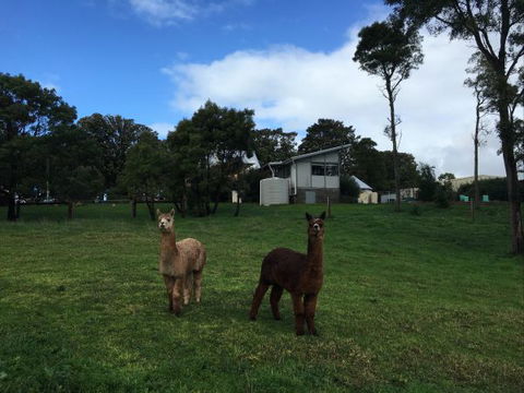 The Old Drik Drik Schoolhouse Retreat - Perisher Accommodation 5