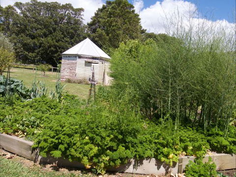 The Old Drik Drik Schoolhouse Retreat - Perisher Accommodation 6