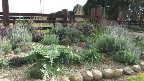 The Loch Barn - Perisher Accommodation 4