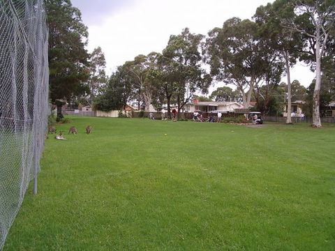 Waratah Cottage - Perisher Accommodation 8