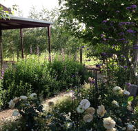 Wandana Bed and Breakfast - Perisher Accommodation