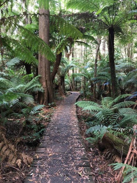 Woodland Mirth Holiday Retreat - Perisher Accommodation 8