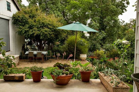 Young Garden Retreat - Perisher Accommodation 4