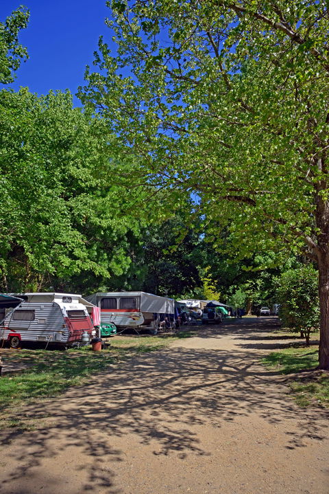 Ardern's Caravan Park Myrtleford - Perisher Accommodation 1