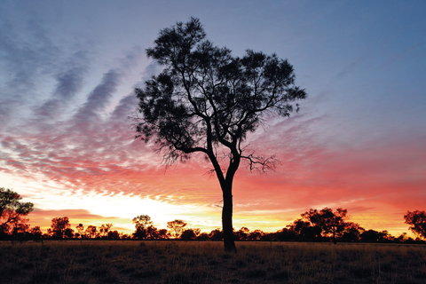 Cunnamulla Tourist Park - Perisher Accommodation 3