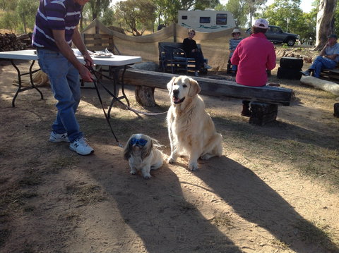 Cunnamulla Tourist Park - Perisher Accommodation 4