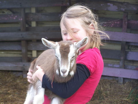 Eden Orchard And Farmstay - Perisher Accommodation 3