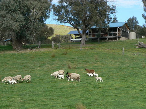 Gaddleen Grove Cottages - Perisher Accommodation 0