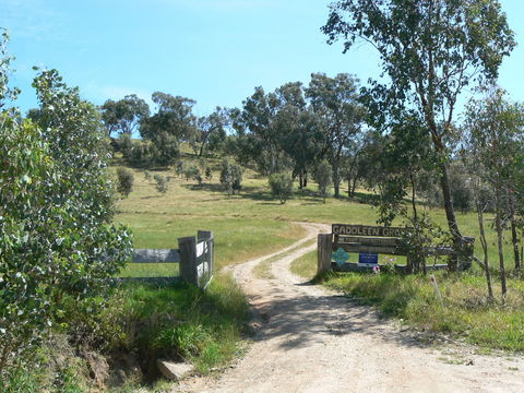 Gaddleen Grove Cottages - Perisher Accommodation 3