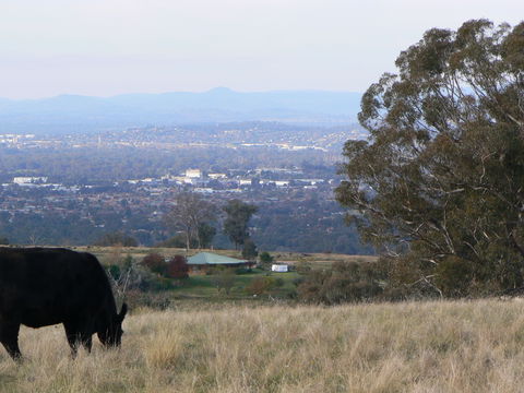 Gaddleen Grove Cottages - Perisher Accommodation 8
