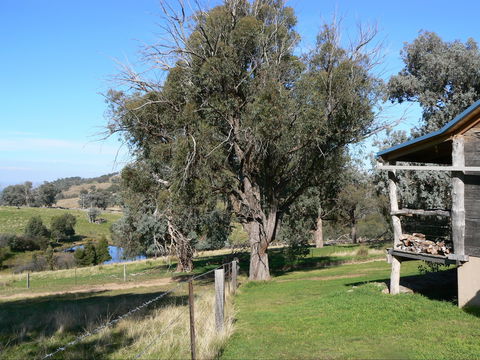 Gaddleen Grove Cottages - Perisher Accommodation 9