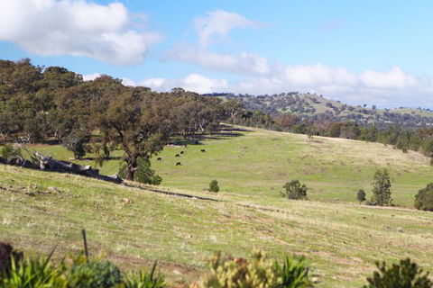 Longview Holiday Let Glenrowan - Perisher Accommodation 5