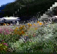 Millicent Showground RV Park - Perisher Accommodation