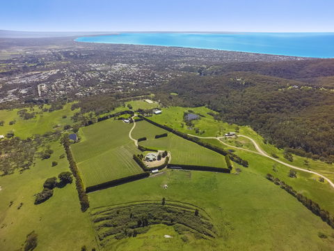 Mornington Peninsula Glamping - Perisher Accommodation 5