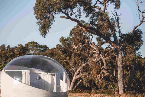 Coonawarra Bubble Tents - Perisher Accommodation 0