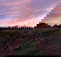 Milawa Vineyard Views - Perisher Accommodation