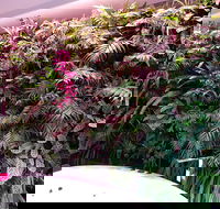 Ocean Blue B and B - Perisher Accommodation